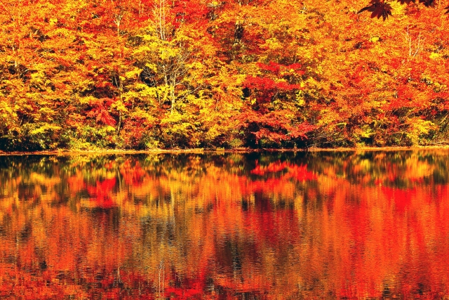 表現 訪れ 秋 の 秋にまつわる言葉13選！薄紅葉や菊日和、和の情緒を味わう言葉